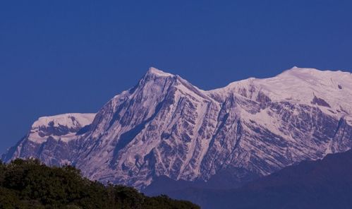 什么是一型肩峰二型肩峰三型肩峰?区别影响在哪?