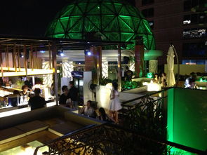 lounge bar，lounger