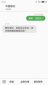 面面俱到的意思是什么生肖，面面俱到的意思及造句