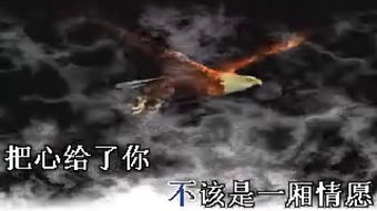 无心伤害歌词英文意思，无心伤害的道歉句子