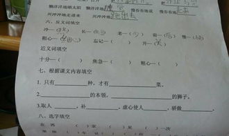 试验近义词是什么 标准答案，试验的近义词是什么 标准答案