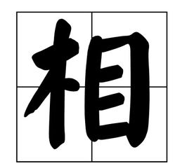 心上双木不成林打一字，双木不成林打一字是什么字谜