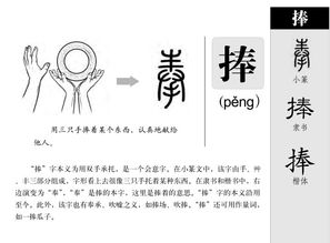 捧字组词有哪些