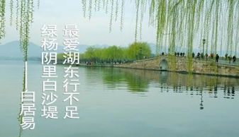 《湖心亭看雪》教学设计