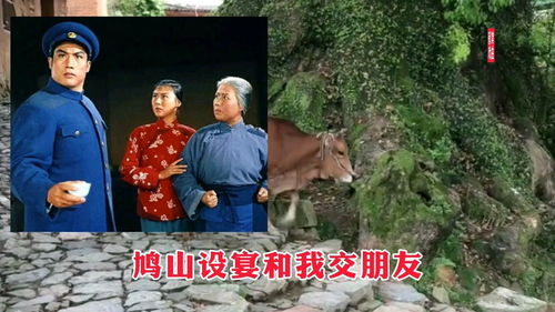 浑身是胆雄赳赳伴奏曲，豫剧浑身是胆雄赳赳