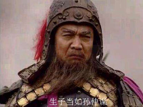孙权简介,孙权生平