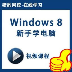 猎豹网校视 WPF进阶教程，猎豹网校tcl全套百度云