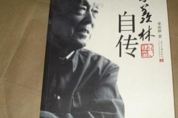 现代著名诗人顾城的资料