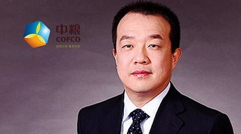 吕军个人简介，吕军鸿