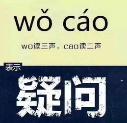 propound是什么意思，pround什么意思中文翻译