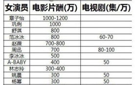 片酬怎么算，片酬是一集还是一部戏的钱