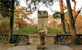曲阜孔林简介，孔林简介 地图