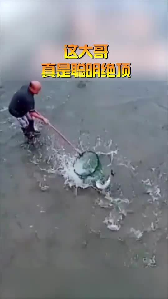 聪明绝顶什么意思