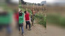 三五成群的意思?