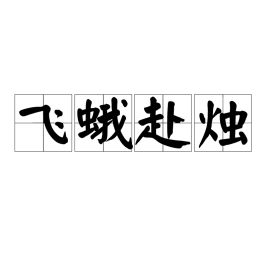 飞蛾投火是什么动物