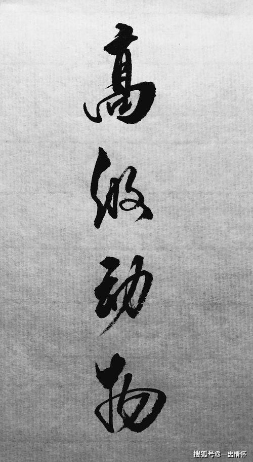 一个白一个完念什么字啊，皖a是哪里的车牌号