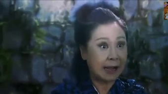 农历六月十一是什么日子