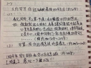 周记800字初中暑假生活，暑假周记800字初中