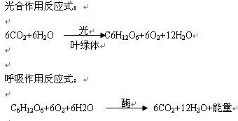 光合作用公式和呼吸作用公式，呼吸作用公式是什么