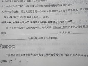 仿写窃读记