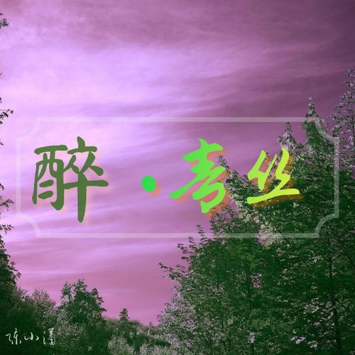 青丝的词曲是谁?