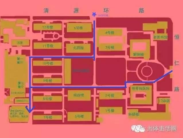 上马步骤是什么?