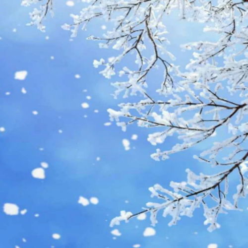 雪花的快乐徐志摩表达了什么感情，雪花的快乐原文