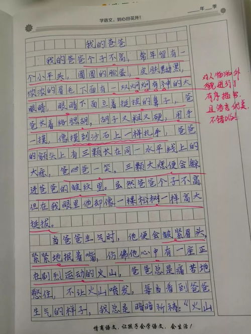 要做最好的自己作文