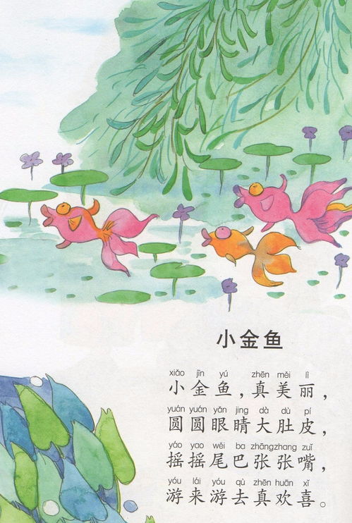 小金鱼儿歌教案小班，小金鱼儿歌简谱