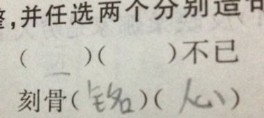 什么什么不一的四字词语，什么什么不已四字成语四年级