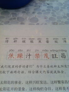 遵怎么组词，这怎么组词一年级下册语文