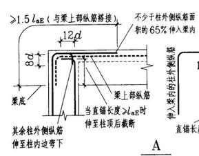 纵向是什么方向?