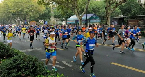 上马能安邦定国平天下,下马提笔，上马酒之歌歌词