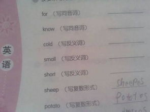 Four的同音词，For的同音词怎么写