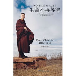 不再等待作文600字，不再等待视频
