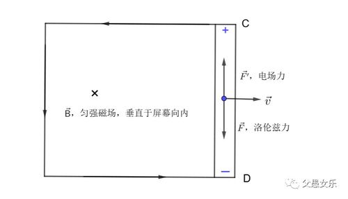 向量的基本运算公式大全，两点向量坐标运算公式