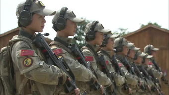 跪求《特种兵之火凤凰(2013)》百度云高清资源在线观看,刘猛导演的