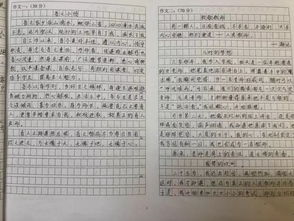 写老师的作文800字(10篇)