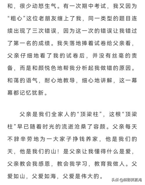 父亲节的作文600字，父亲节的作文800字