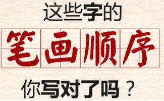 苗的笔顺怎么写