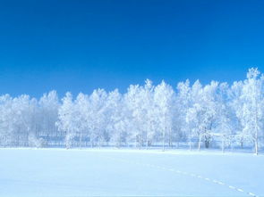 雪地里的小画家课件ppt获奖，雪地里的小画家课件制作说明