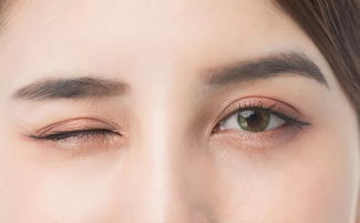 眼睑[yǎn jiǎn]什么意思?近义词和反义词是什么?英文翻译是什么