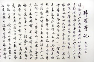 醉翁亭记拼音注音版，醉翁亭记拼音版注音打印