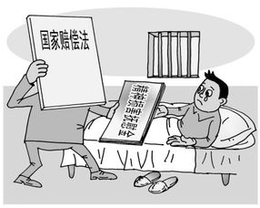 国家赔偿法的解释全文