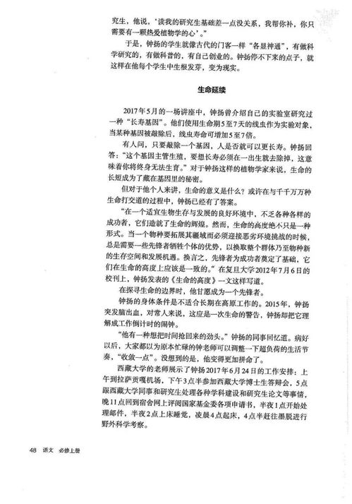 新学期语文计划怎么写?