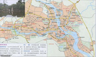 地图绵阳到三台县向阳区金星乡