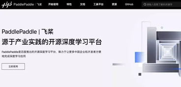 除颤仪paddle是什么意思，paddle是什么意思英语翻译