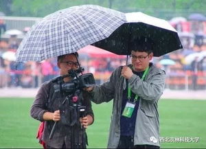 脚力是什么意思?