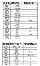 片酬是什么意思