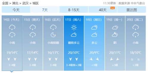 如何查询10天的武汉天气情况?